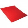 Aidapt - Vm500 - Feuille De Glissière Tubulaire - Rouge - Taille 600x400mm -