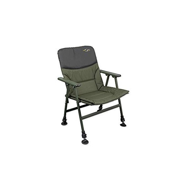 Level Chair with Arms