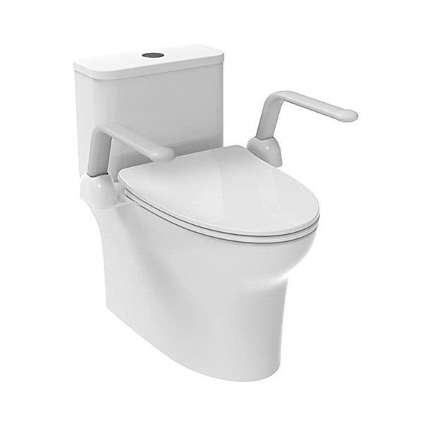 KSITEX Rails de sécurité pour toilettes pour personnes âgées, cadre de sécurité des toilettes senior avec poignées daccoudoi