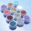 12pcs Couleur Paillettes Poudre Poudre Astuce Décoration Nail Art