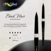 Silver Brush Limited - Pinceau Rond à Manche Court pour l’Aquarelle 3000S20 Black Velvet - Taille 20