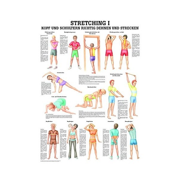 Stretching i mini-poster motif anatomie 34 x 24 cm et matériels médicaux ohne Laminierung