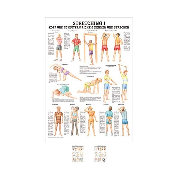 Stretching i mini-poster motif anatomie 34 x 24 cm et matériels médicaux ohne Laminierung