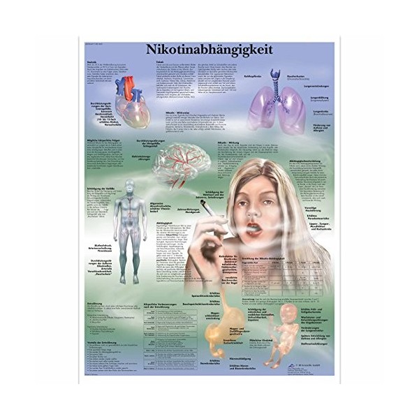 3B Scientific Nicotine Dépendance Poster