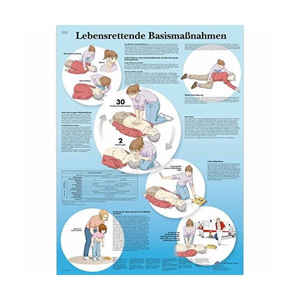 3B Scientific Gestes de base mesures Poster