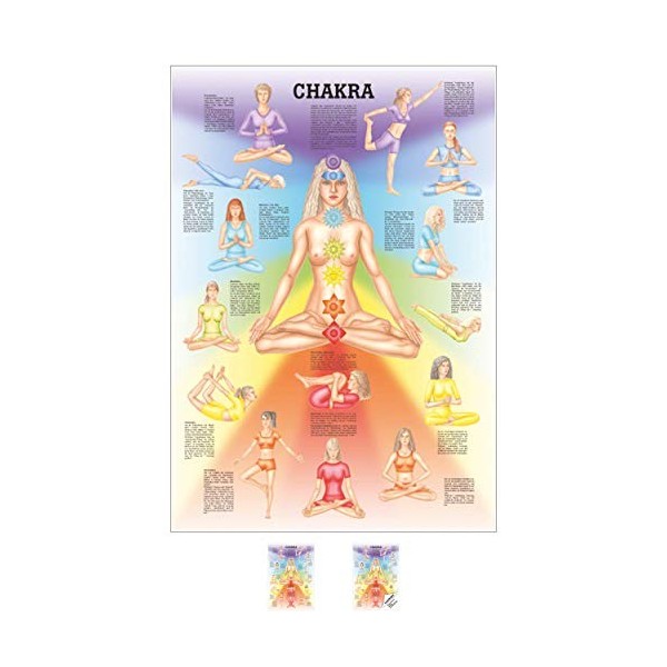 Chakra Mini-Poster Anatomie 34x24 cm medizinische Lehrmittel