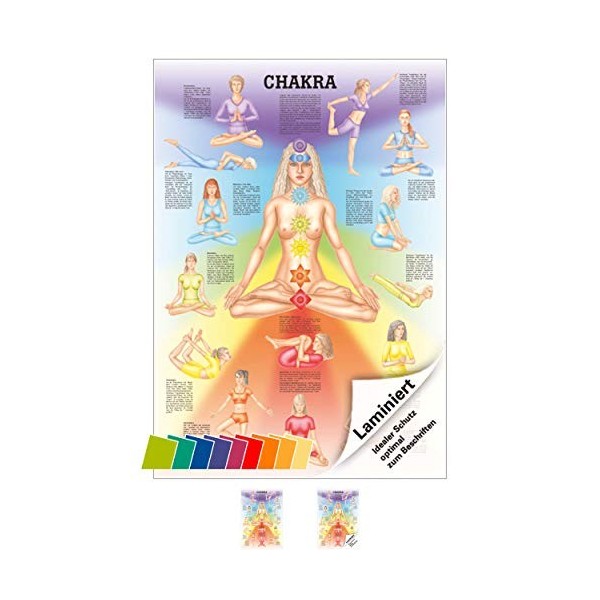 Chakra Mini-Poster Anatomie 34x24 cm medizinische Lehrmittel