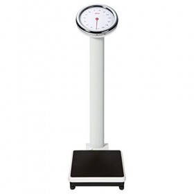 Seca 786&nbsp;Balance Colonne avec Échelle de Grand Cercle 1 Unité