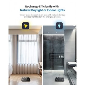 RENPHO Balance Pese Personne Solar Pese Personnes Sans Pile, Bluetooth Balance Connectée avec App, 13 Analyses de la Composit
