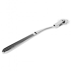 Wartenberg Neuro Moulinet, Ventilateur Rotatif Médical 22 Pointes Métalliques Moulinet Neurologique Compact pour la Recherche
