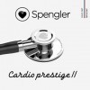 SPENGLER Cardioprestige II, Stéthoscope de Diagnostic Médical, Simple Pavillon en Acier inoxydable, Qualité Acoustique Except