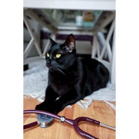 Pendentif stéthoscope en cristal UltraScope – Empreinte de patte