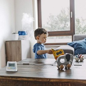 WICK Hygromètre 2 en 1 et thermomètre W70