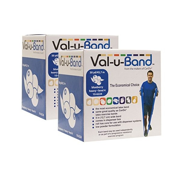 Val-u-Band Appareil de Musculation de la Main Bleuberry Box Twin-Pak 2 X 45 m