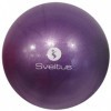 Sveltus Ballon pédagogique Adulte Unisexe, Violet, diam. 20cm +/-10%