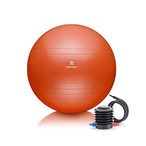 BODYMATE Ballon Fitness + Pompe Incluse + E-Book Gratuit Rose-Gold 65cm