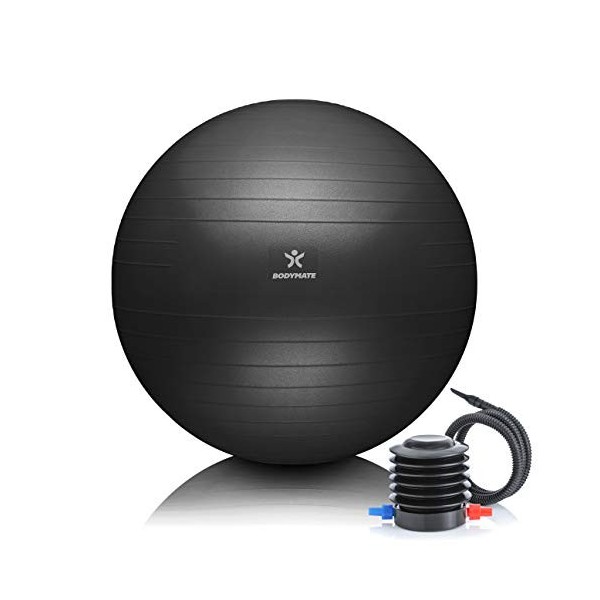 BODYMATE Ballon Fitness + Pompe Incluse + E-Book Gratuit Rose-Gold 65cm