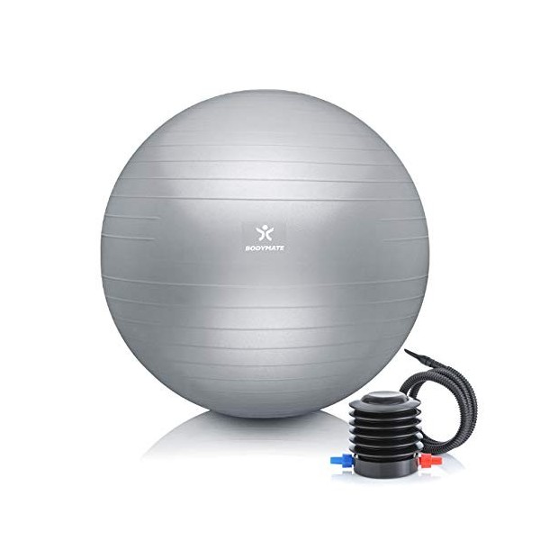 BODYMATE Ballon Fitness + Pompe Incluse + E-Book Gratuit Rose-Gold 65cm