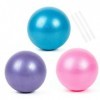 TATAFUN 3pcs Yoga Ball Pilates Ballon de Gymnastique Anti-éclatement Fitness Balles pour 25cm Entraînement Abdominal et des É