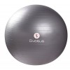 Sveltus Gymball gris Ø65 cm vrac