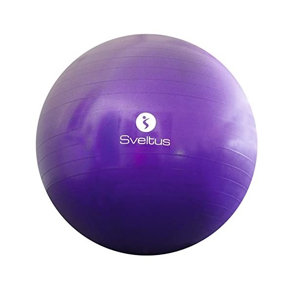 Gymball Parme Ø75 cm Vrac