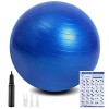 flintronic Ballon Fitness, Ballon Yoga Anti-Explosive Ultra-épaisse avec Pompe Pied Gonflable,Balle de Fitness pour Sport, Yo