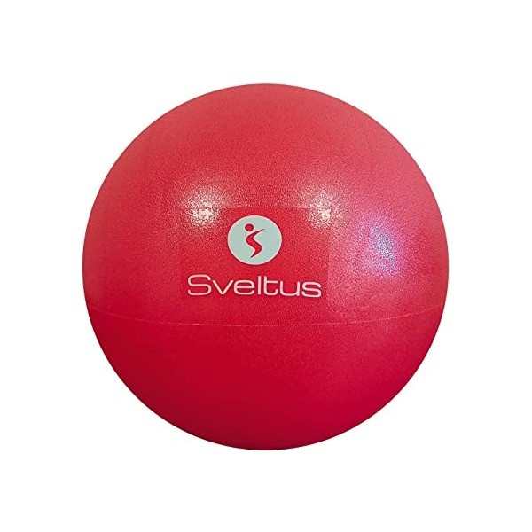 Sveltus Ballon pédagogique Adulte Unisexe, Violet, 25 cm