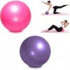 TopBine 2 Pcs Pilates Ballon de Gymnastique 23cm Balle d‘Exercice Yoga Fitness pour Entraînement Abdominal et des Épaules, Éq