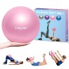 Cikyner Balle de Pilates Douce, Petite Balle dexercice de 23 à 25 cm avec Paille Gonflable,Convient pour Pilates, Yoga, entr