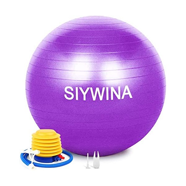 SIYWINA Ballon Fitness Ballon de Grossesse Yoga Ballon dexercice Pilates Swiss Ball pour Entraînement Grossesse Equilibre Ch