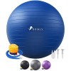 ROMIX Ballon Fitness, 65cm Grande Anti Éclatement Balle Gymnastique avec Pompe Rapide, Anti Dérapant Epais Ball d’Exercices p