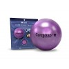 Tune Up Fitness Coregeous Ball by Tune Up Fitness