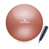 ALPHAPACE Balle de Gymnastique Anti-éclatement - Pompe à air INCL. - Ballon Fitness, Yoga, Gymnastique, Core, ou comme Chaise