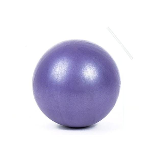 Pilates Ballon de Gymnastique, Souple Balles dexercices Fitness Mini Ballon de Gymnastique de 25 cm Parfait pour Le Yoga Ent