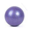 Pilates Ballon de Gymnastique, Souple Balles dexercices Fitness Mini Ballon de Gymnastique de 25 cm Parfait pour Le Yoga Ent