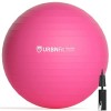 Urbnfit Ballon de Gym de 55 cm pour Yoga et Travail de la stabilité – Guide dentraînement Inclus [Français Non Garanti] 55 c