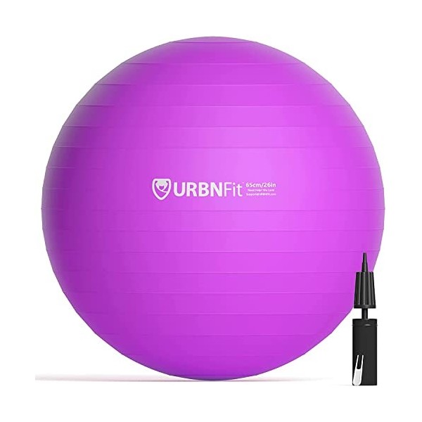 Urbnfit Ballon de Gym de 55 cm pour Yoga et Travail de la stabilité – Guide dentraînement Inclus [Français Non Garanti] 55 c