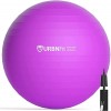 Urbnfit Ballon de Gym de 55 cm pour Yoga et Travail de la stabilité – Guide dentraînement Inclus [Français Non Garanti] 55 c