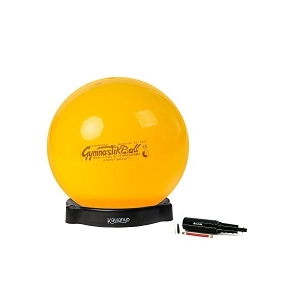 PEZZI Ballon de Gymnastique Standard Ø 42 cm à 75 cm avec Coque de Balle et Pompe à Ballon Charge Max. 400 kg, Anthracite, Ø 