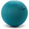 TOCYORIC Ball Chair with Handle for Home, Office, Fitness, Yoga, Balance, Pilates et stabilité, Exercise Ball with Pump