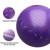 PROIRON Balles dexercices Fitness Très épais avec mouvements de Yoga, 55CM 65CM 75CM Swiss Ball, Ballon de Gym avec Pompe Ra