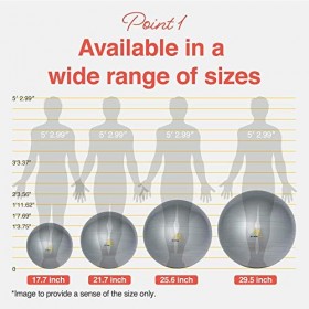 primasole PSS91NH059AfF Ballon dexercice pour équilibre, stabilité, Fitness, Yoga, Pilates à la Maison, au Bureau et à la Sa