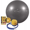 GoFit Ballon de stabilité Professionnel - Argenté, 75 cm