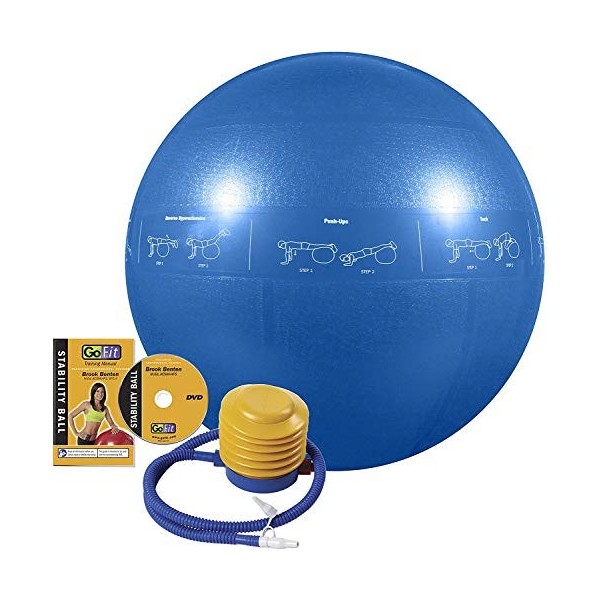 GoFit Ballon de stabilité Professionnel - Argenté, 75 cm