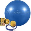 GoFit Ballon de stabilité Professionnel - Argenté, 75 cm