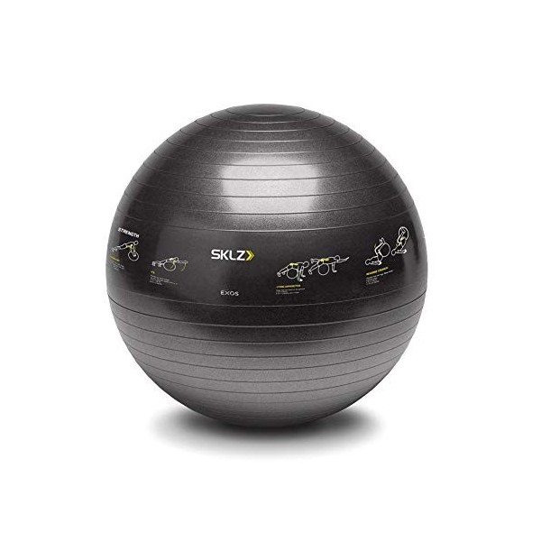 SKLZ TRAINERball Sport Performance 65 cm 