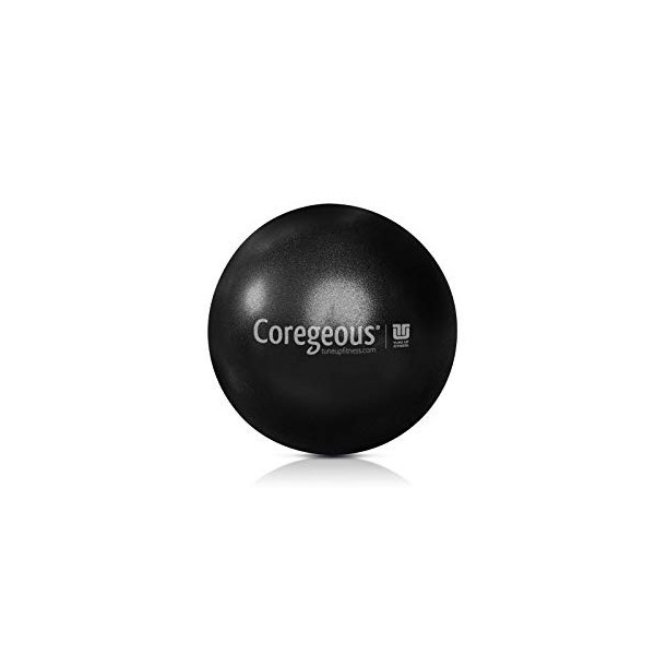Tune Up Fitness Jill MillerNew Coregeous Ball Balle Gris graphite