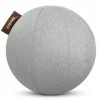 STRYVE Active Ball | Light Grey – 70 Unisex-Adult, 70 cm