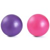 YiYFiT Ballon de Pilates,2pcs 25cm Mini Ballon de Stabilité Ballon Souple Yuga Ball pour Gym Home Office,Parfait pour Pilates