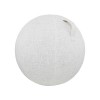 ZOSONET Housse Ballon Grossesse Housse Swiss Ball Housse Ballon Gym Housse Ballon Yoga 75cm Anti-saleté Durable Housse De Pro